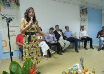 Rural + Conectado chega para ampliar a conectividade no campo