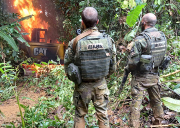 Tribunal de Justiça suspende liminar que proibia destruição de bens apreendidos