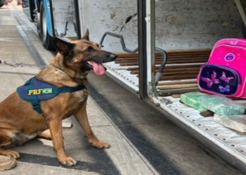 Passageira de ônibus é presa transportando 3 kg de cocaína dentro de mala