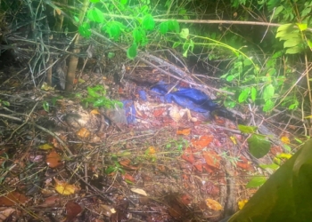 Pescador encontra ossada humana às margens do Rio Aricá na BR-364