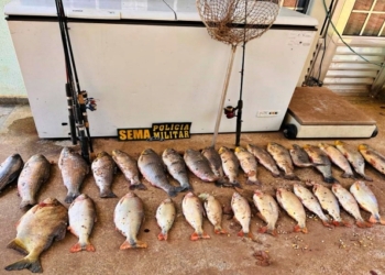 Operação apreende mais de 60 kg de pescado ilegal e aplica R$ 17,7 mil em multas