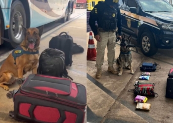 Passageiro de ônibus é preso com aproximadamente 4,5kg de pasta base de cocaína