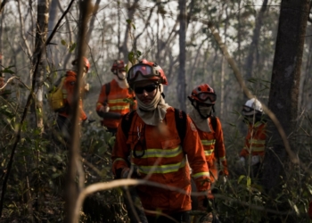 Governo de MT reforça combate ao incêndio no Parque Estadual Encontro das Águas