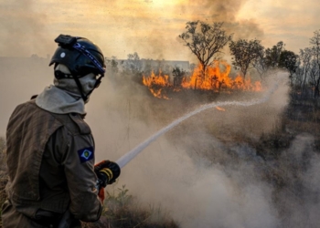 Governos de MT e Federal realizarão esforço concentrado nas áreas de maior risco de incêndio