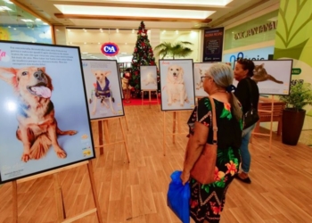 Exposição de animais especiais já tem até “concorrência” por alguns dos pets