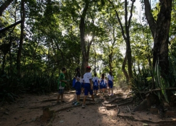 Horto Florestal: um espaço natural de aprendizado e refúgio para crianças e comunidade