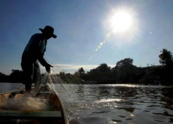PSD ingressa com ação no STF contra lei que proíbe transporte de peixes em MT por 5 anos