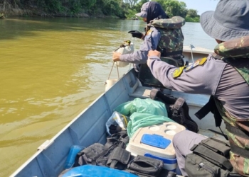 Em um mês, Sema-MT apreende 302 kg de pescado ilegal e devolve mais de 600 peixes aos rios; veja vídeo