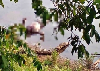 Pescadores encontram corpo de homem boiando às margens do Rio Cuiabá