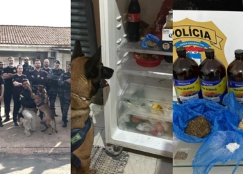 Traficante é preso em flagrante durante operação de combate ao tráfico de drogas