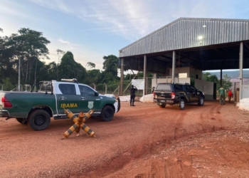 Polícia Federal pede prisão de 16 empresários investigados em operação; juíza nega