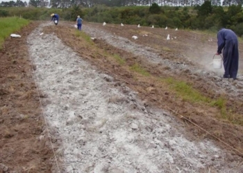 Evento discutirá estratégias sustentáveis para mineração e o uso de rochas em pó na agricultura