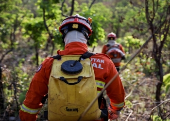 Corpo de Bombeiros aplica R$ 171,2 milhões em multas por uso irregular do fogo