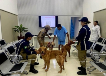 Projeto com cães visa mais qualidade de vida a pacientes do Hospital Regional de Sorriso