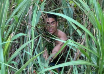 Homem mata a namorada com socos e estrangulamento e tira a própria vida em seguida