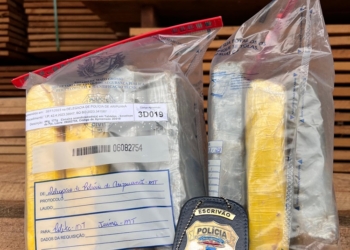 Polícia Civil incinera cerca de 40 quilos de droga apreendidas na região de Aripuanã