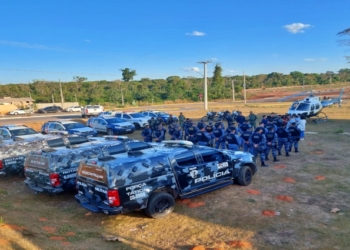 Sesp realizou 16 operações e 240 prisões em ações estratégicas de combate ao crime organizado em Sorriso