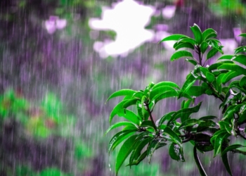 Inmet prevê para dezembro chuvas acima da média na região Centro-Oeste