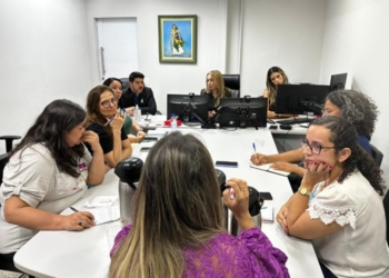 Relatório com diretrizes para prevenção de feminicídios será entregue em 2024