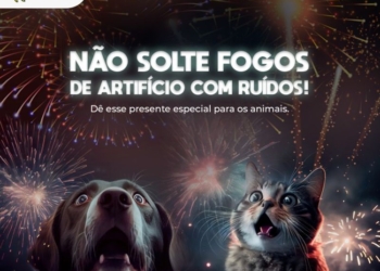 Prefeitura de Cuiabá reforça à campanha “Não Solte Fogos de Artifícios com Ruídos”