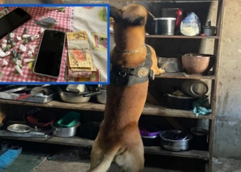 Operação Purgato prende líderes que comandavam tráfico de drogas no sul de MT