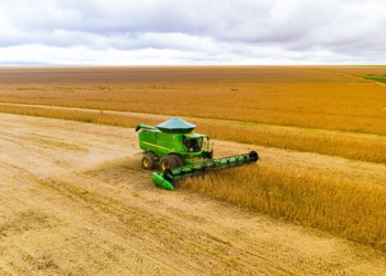 Prazo de plantio da soja é ampliado em Mato Grosso