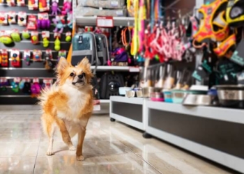 Justiça decide que petshops não precisarão de documento extra para funcionar em Cuiabá
