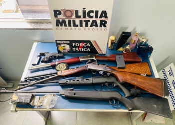 Força Tática apreende arsenal de armas e prende homem por furto e receptação