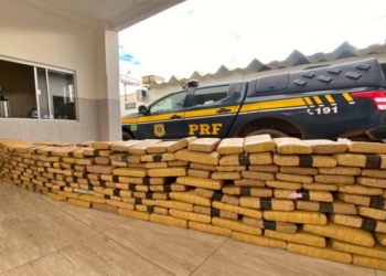 PRF apreende 224 kg de skunk escondidos em carga de carvão na BR-364