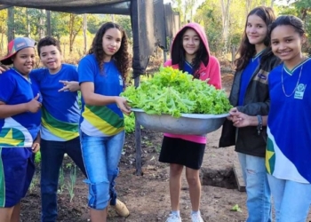 Governo de MT investe na formação técnica de estudantes para atuação no campo