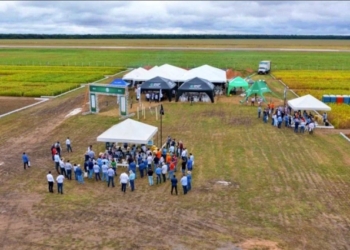 Tradicional evento de pesquisa do agro já tem datas e locais confirmados em MT