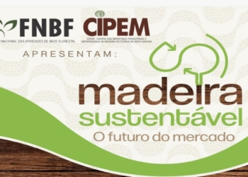 Futuro do mercado da madeira sustentável é tema de evento no Rio de Janeiro