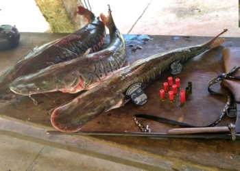 Batalhão Ambiental flagra pesca irregular e apreende peixes, arma e munições com suspeito