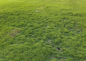 Mesmo com manutenções e reparos, gramado do Dutrinha tem aspecto de pasto; veja vídeo