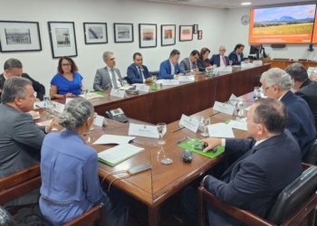 Governador propõe perda de terras para quem desmatar ilegalmente o Cerrado