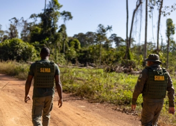 Operações ambientais resultaram na aplicação de R$ 2,3 milhões por crimes ambientais no primeiro bimestre