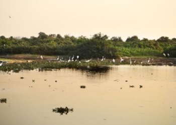 Lei trará avanços para garantir a permanência dos pantaneiros no Pantanal