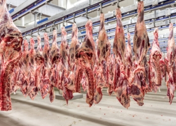 Mais 38 frigoríficos brasileiros podem exportar carnes para a China