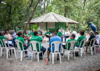 Roda de conversa alusiva ao Dia Internacional da Mulher debate ecofeminismo e ecologia Integral