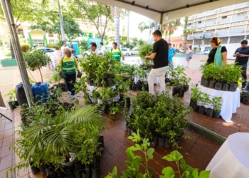 Projeto de doação de mudas frutíferas é um sucesso e será desenvolvido em outras regiões da cidade ao longo do mês