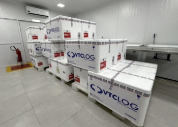 Doses da vacina contra a dengue serão liberadas a municípios de MT nesta quinta