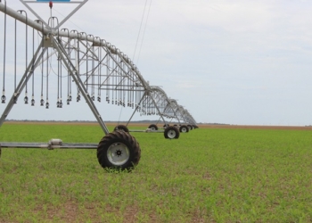 Sedec integra comitiva para imersão sobre técnicas e inovações de irrigação e lavouras de grãos nos Estados Unidos