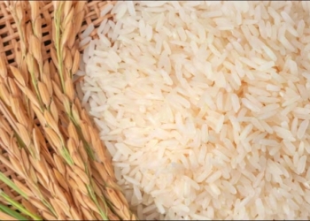 Enchentes no RS não afetarão abastecimento de arroz em MT, diz Secretario de Fazenda