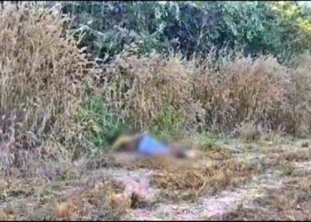 Jovem é encontrado morto com tiro na nuca em matagal nos fundos da UFMT