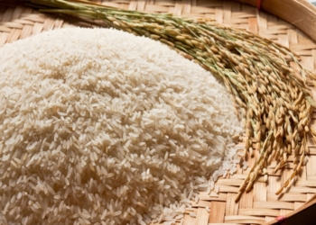 Governo Federal publica medida para recomposição de estoques públicos de arroz