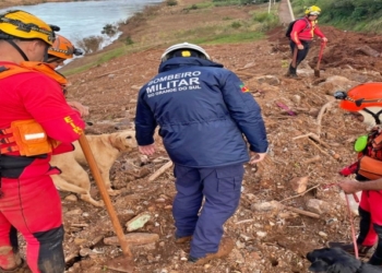 Bombeiros de MT salvaram 44 pessoas e 18 animais no Rio Grande do Sul