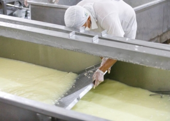 Governo regulamenta normas para manipulação e beneficiamento de produtos da agroindústria familiar em MT