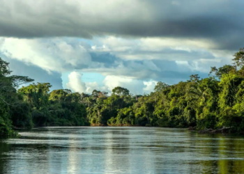 Lúdio realiza audiência sobre omissão do Estado na extinção do Parque Estadual Cristalino II