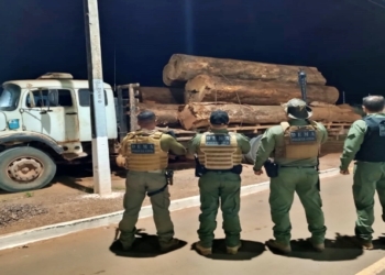 Trio é preso com caminhão carregado de madeira extraída de reserva de conservação