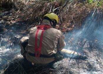 Corpo de Bombeiros combate incêndio em vegetação dentro de condomínio